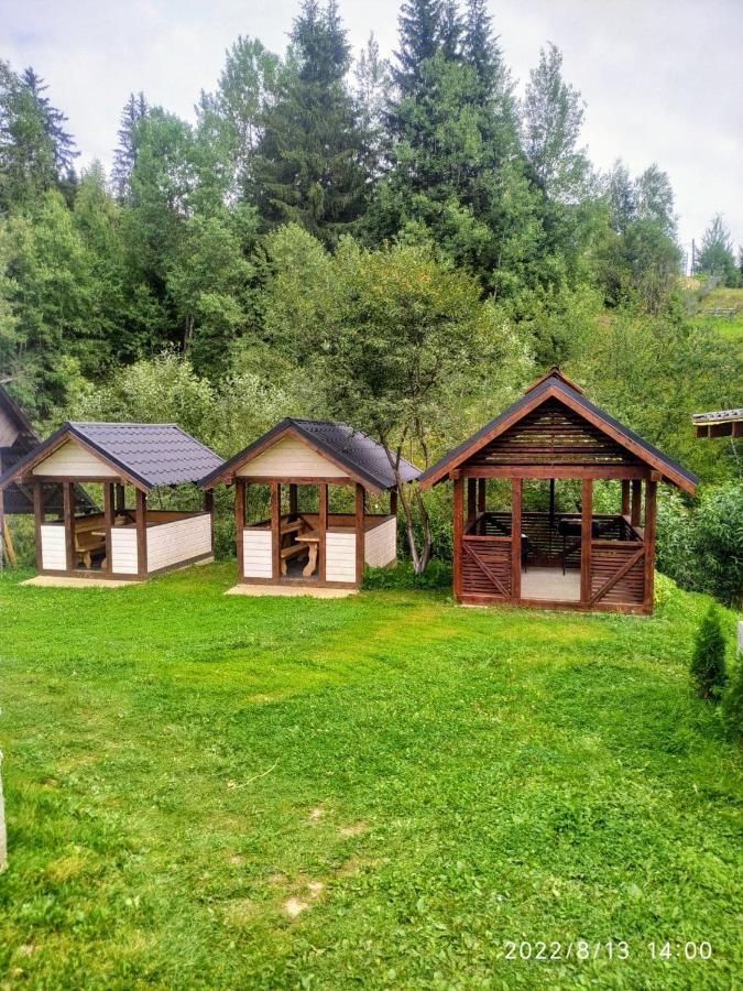 Відпочинковий Комплекс "Alpha Plus" Yablunytsya Εξωτερικό φωτογραφία