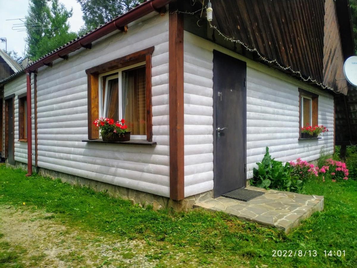 Відпочинковий Комплекс "Alpha Plus" Yablunytsya Εξωτερικό φωτογραφία
